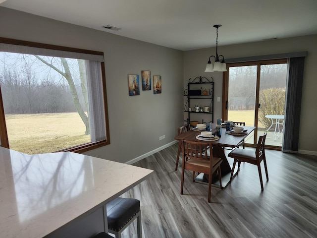 dining space with hardwood / wood-style flooring