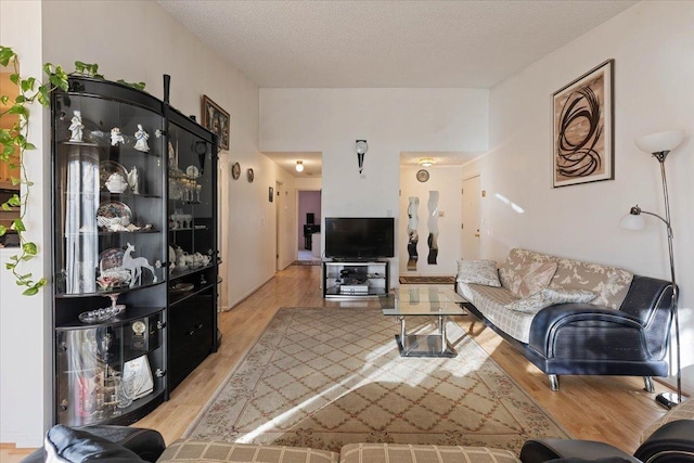 living room with light hardwood / wood-style floors and a textured ceiling