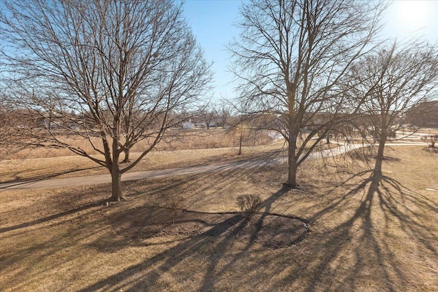 view of yard featuring a rural view