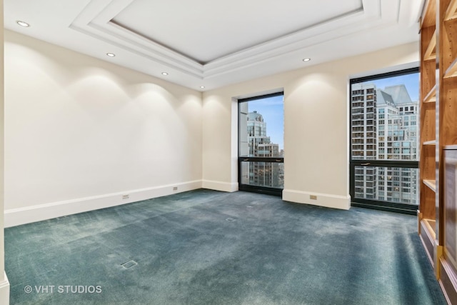 carpeted empty room featuring plenty of natural light and a raised ceiling