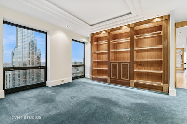 unfurnished living room with a tray ceiling and carpet floors