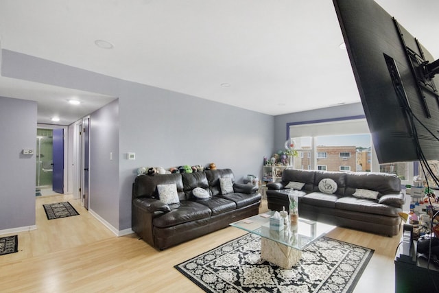 living room featuring wood-type flooring