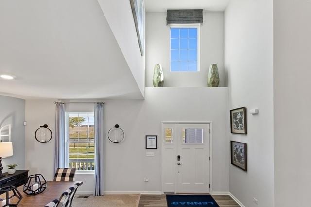 entryway featuring hardwood / wood-style flooring