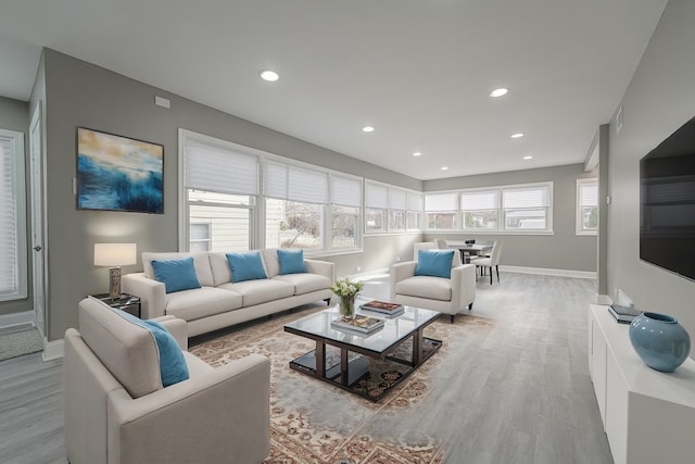 living room with light hardwood / wood-style flooring