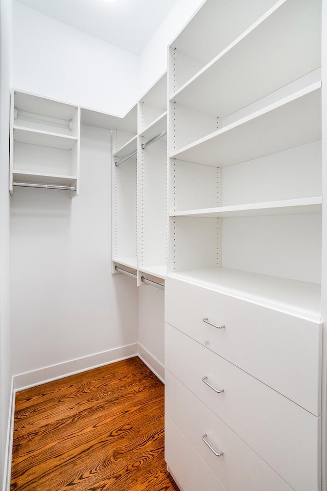 spacious closet with dark hardwood / wood-style flooring