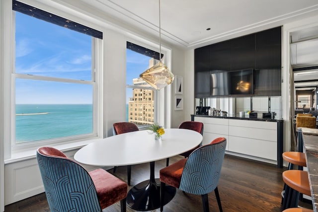 dining area with dark hardwood / wood-style flooring and a water view