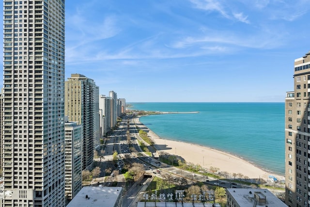 property view of water with a beach view