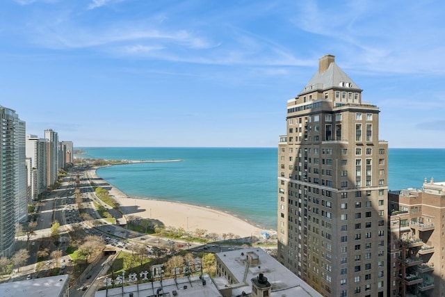 view of water feature featuring a view of the beach