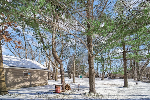 view of snowy yard