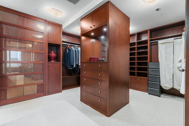 view of spacious closet