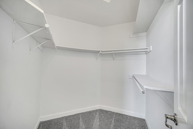 spacious closet featuring carpet floors