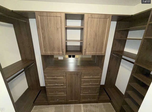 view of spacious closet