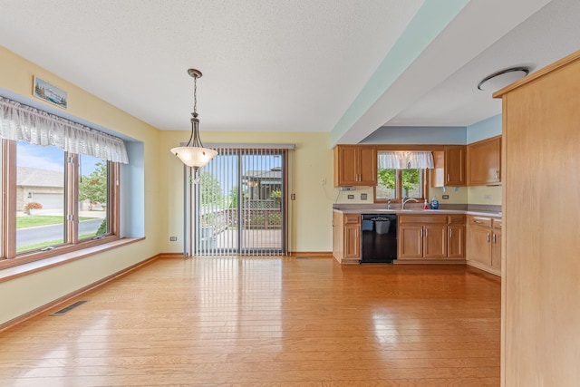 kitchen with dishwasher, light hardwood / wood-style floors, plenty of natural light, and hanging light fixtures