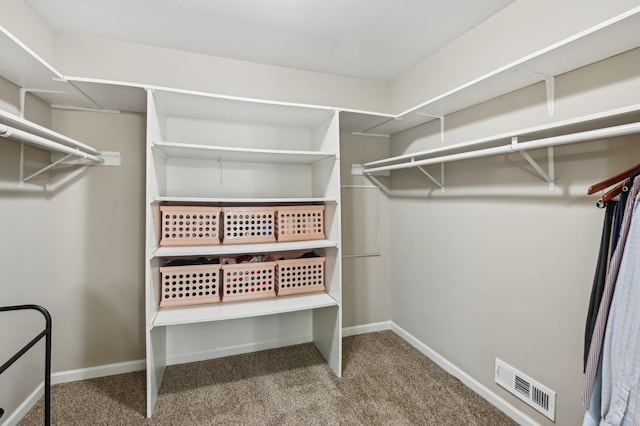 walk in closet with carpet floors