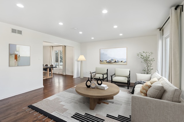 living room featuring dark wood-type flooring