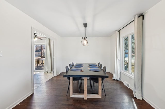 dining room with dark hardwood / wood-style flooring and a healthy amount of sunlight