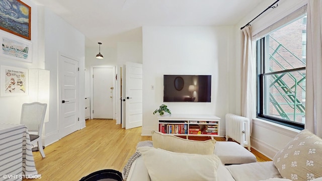 living room featuring light wood-type flooring, radiator heating unit, and a wealth of natural light