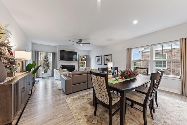 dining space with ceiling fan and light hardwood / wood-style floors