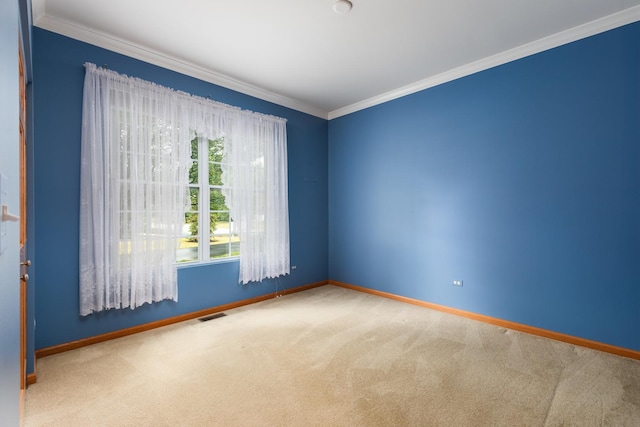 spare room featuring carpet flooring and crown molding