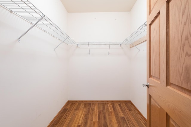 walk in closet featuring wood-type flooring