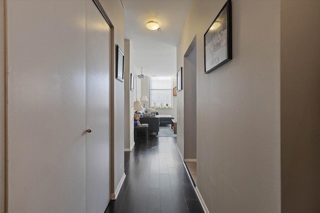 corridor with dark hardwood / wood-style flooring