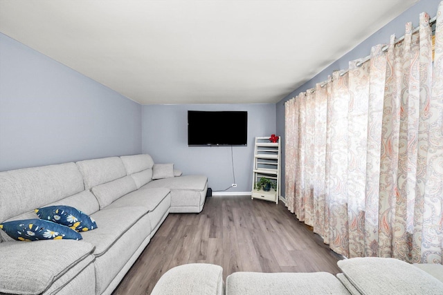 living room with wood-type flooring