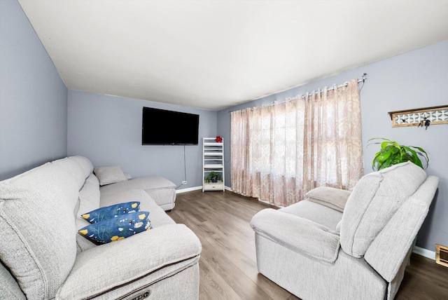 living room featuring wood-type flooring