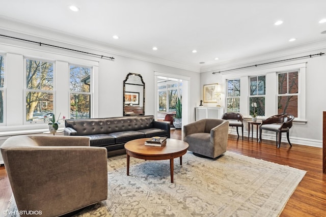 living room featuring crown molding and wood-type flooring