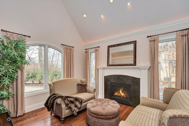 living area featuring high vaulted ceiling, baseboards, wood finished floors, and a high end fireplace