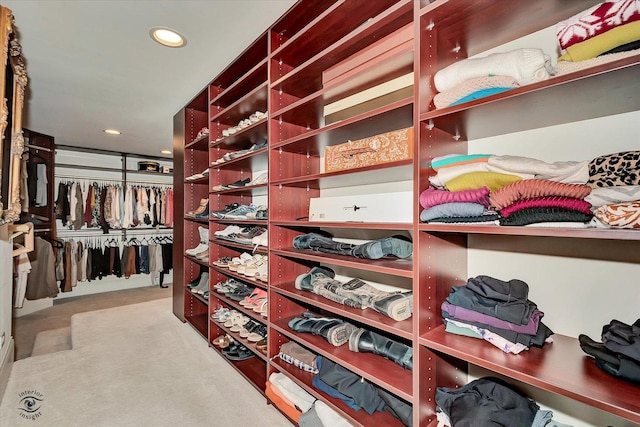 view of spacious closet