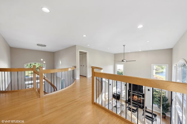 hall featuring a wealth of natural light and hardwood / wood-style flooring