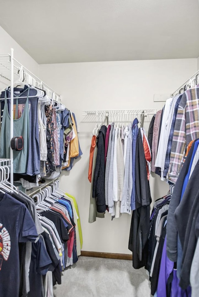 view of walk in closet