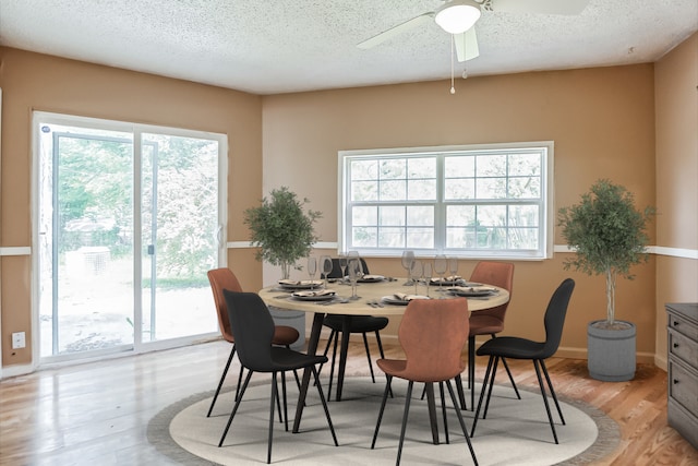 dining room featuring ceiling fan, light hardwood / wood-style floors, a healthy amount of sunlight, and a textured ceiling