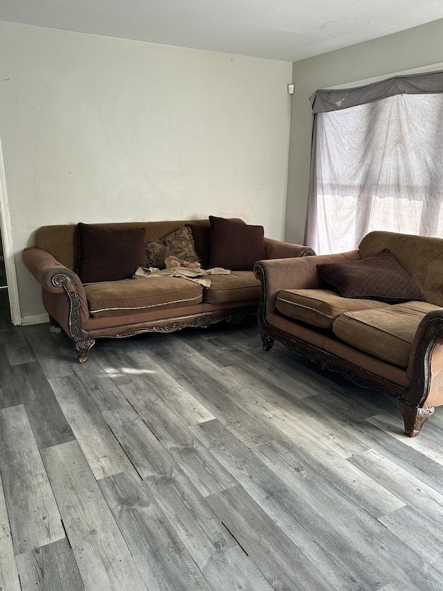 living room featuring hardwood / wood-style floors