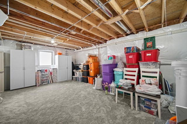 basement with carpet