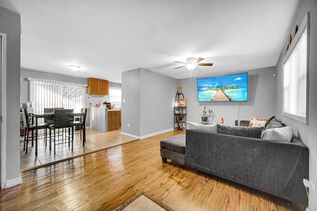 living room with ceiling fan and light wood-type flooring