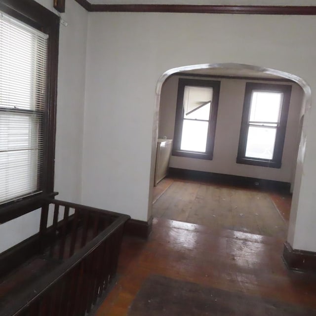 foyer featuring dark hardwood / wood-style flooring and crown molding