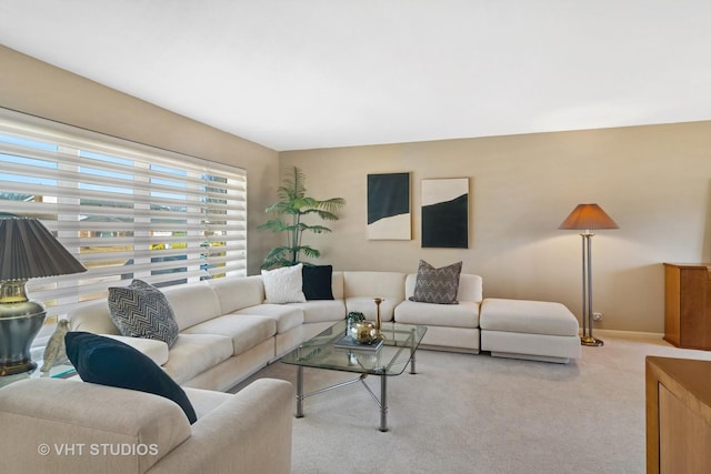 living area featuring baseboards and carpet