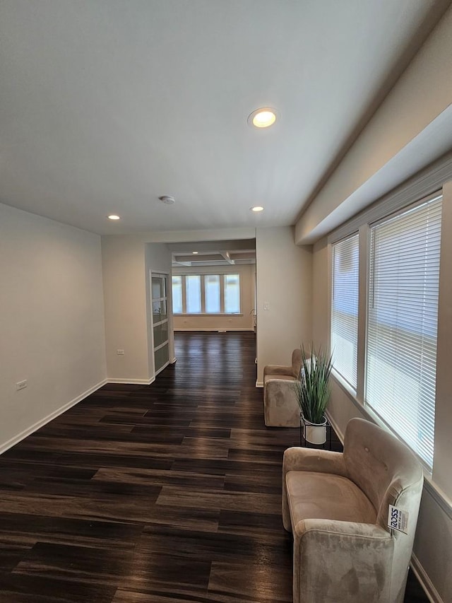 sitting room featuring dark hardwood / wood-style floors