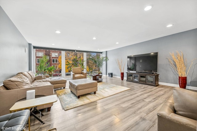 living room featuring expansive windows and light hardwood / wood-style floors