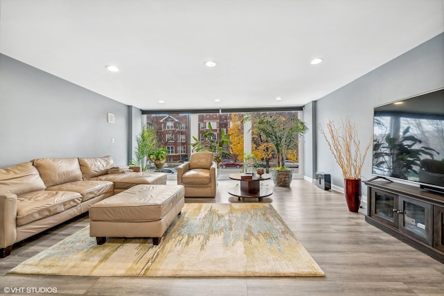 living room with light hardwood / wood-style flooring and expansive windows