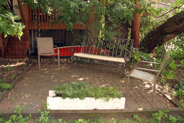 view of yard with a patio area