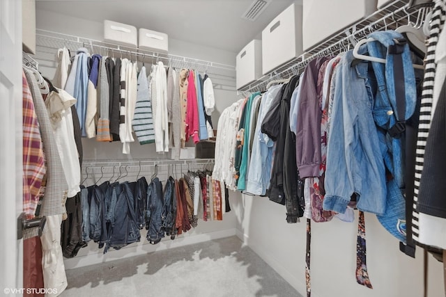 view of walk in closet