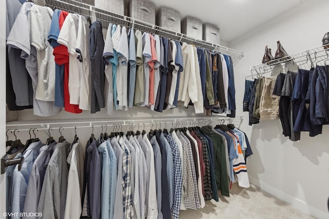 spacious closet featuring carpet