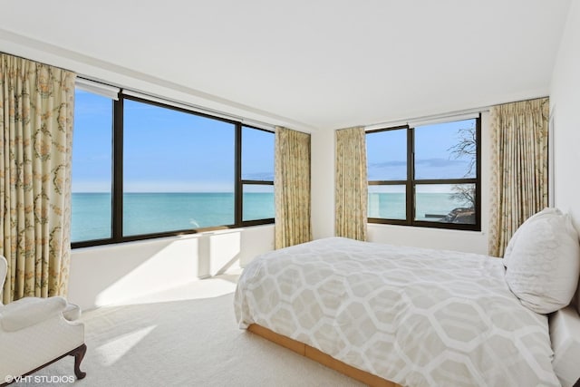 carpeted bedroom featuring a water view