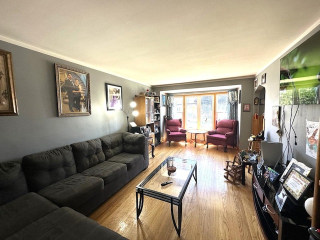 living room featuring crown molding and wood-type flooring