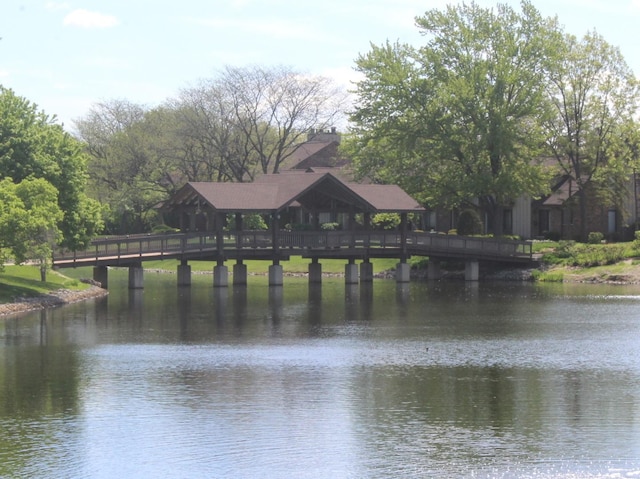 property view of water