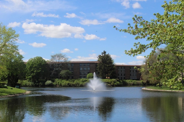 view of water feature