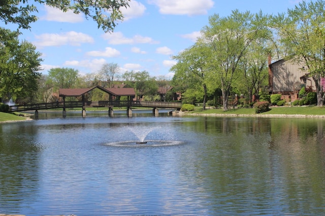 water view