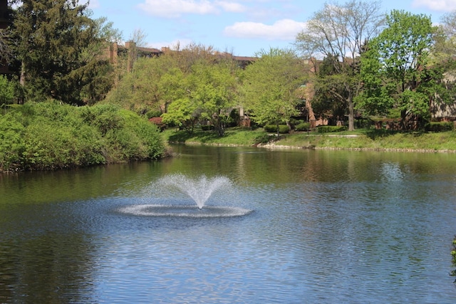 view of water feature